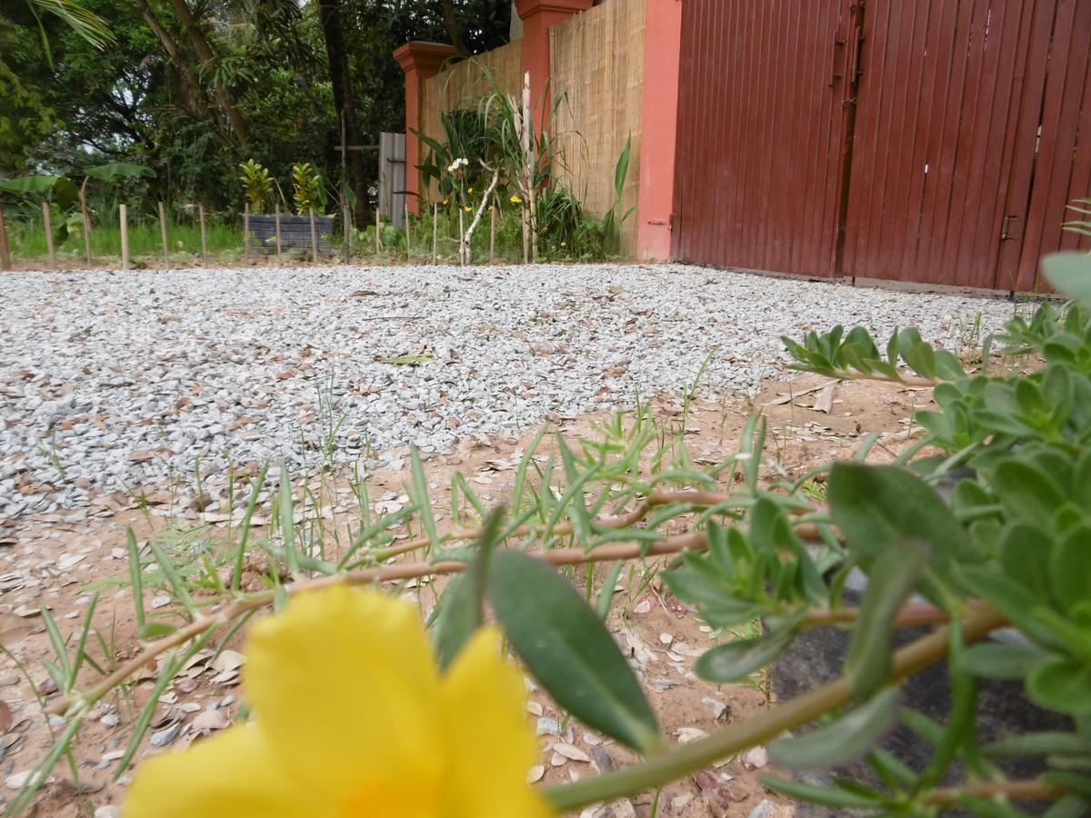 Andre Boutique Villa Siem Reap Eksteriør billede