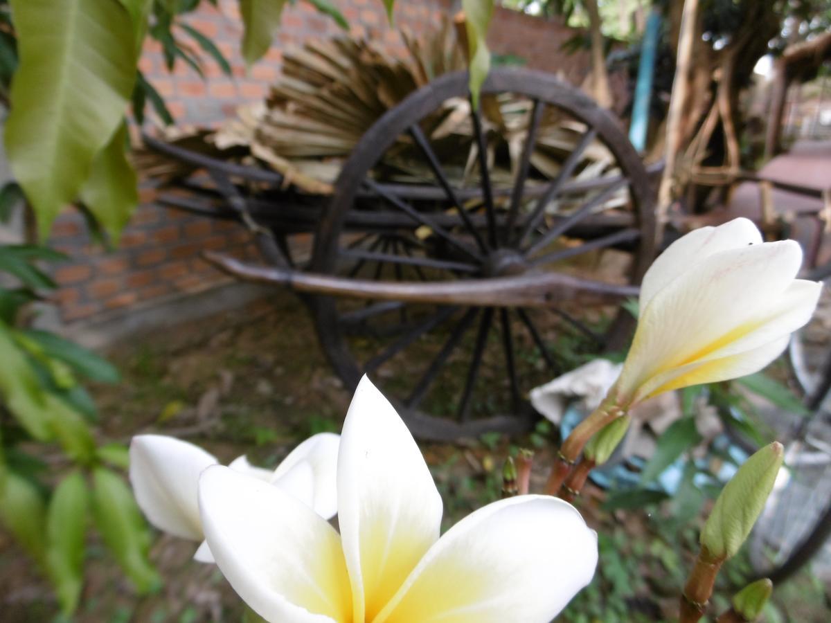 Andre Boutique Villa Siem Reap Eksteriør billede