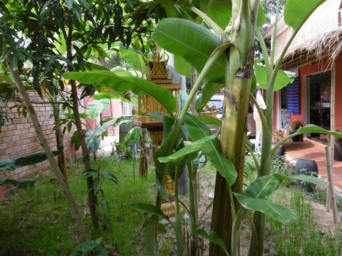 Andre Boutique Villa Siem Reap Eksteriør billede