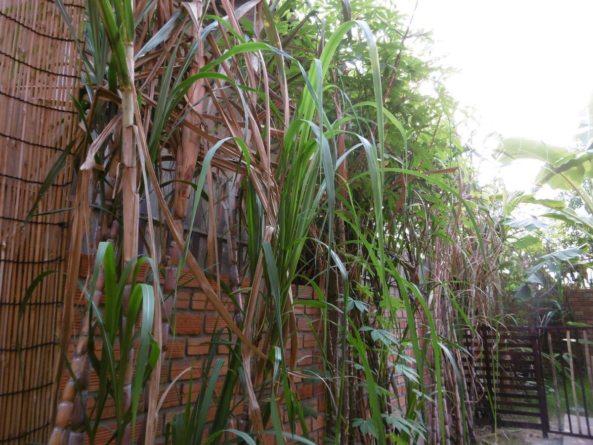 Andre Boutique Villa Siem Reap Eksteriør billede