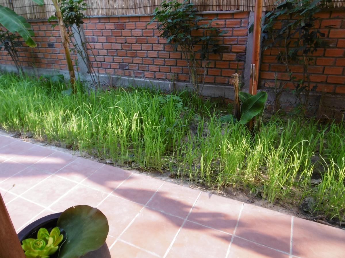 Andre Boutique Villa Siem Reap Eksteriør billede